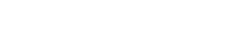 NORDVAIL Executive Mobility