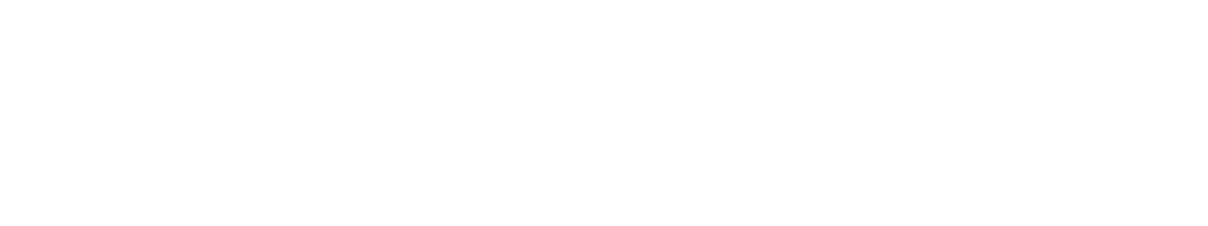 NORDVAIL Executive Mobility